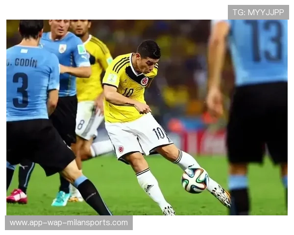 世界杯最佳进球评选，网友票选榜单出炉