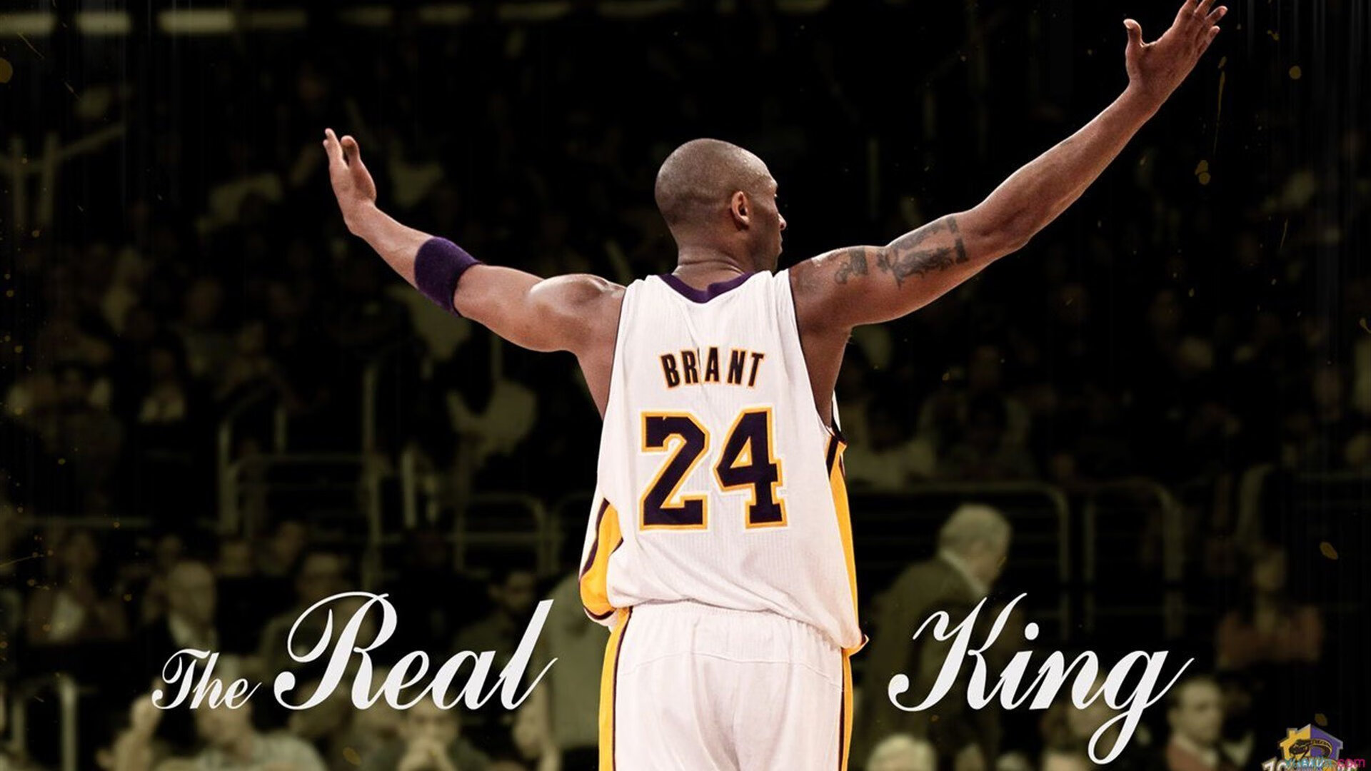 LPL中单格局将重洗Knight去向最受关注，lol ig中单